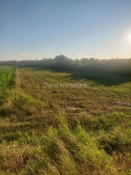 TEREN DE VÂNZARE-32480 mp CARANSEBEȘ JUD.CS,  0% COMISION - 6