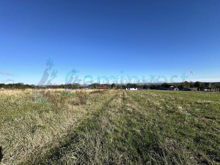 Parcele teren de vanzare in Cetariu, la 9 km de Oradea cu PUZ - 2