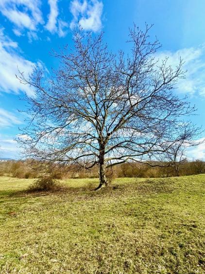 PROIECTUL TAU AICI / Poiana Campina / 8200 Mp/ Utilitati / Rasaritul Perfect - 9