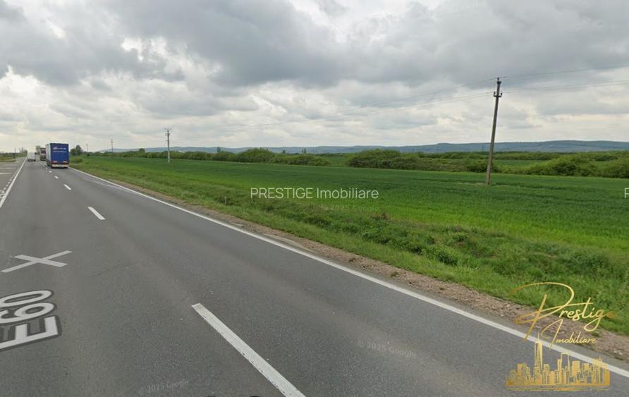 Teren extravilan 2 ha de vanzare in comuna Sacadat - judetul Bihor - 2