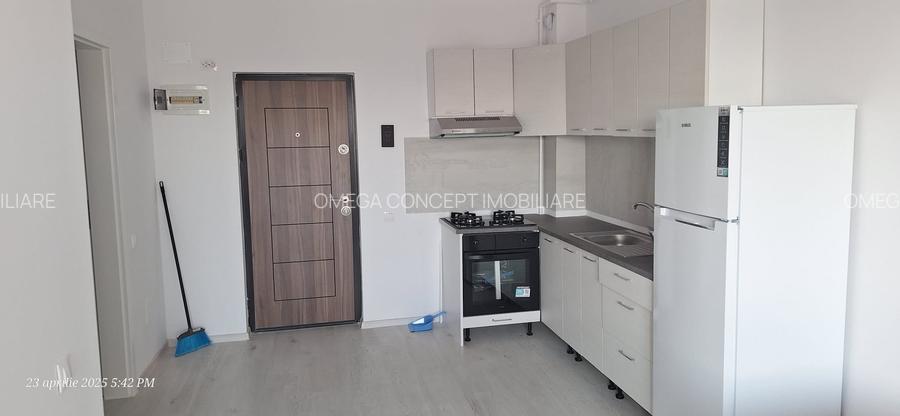 Popesti Leordeni - Biruintei inchiriere garsoniera dubla - 11