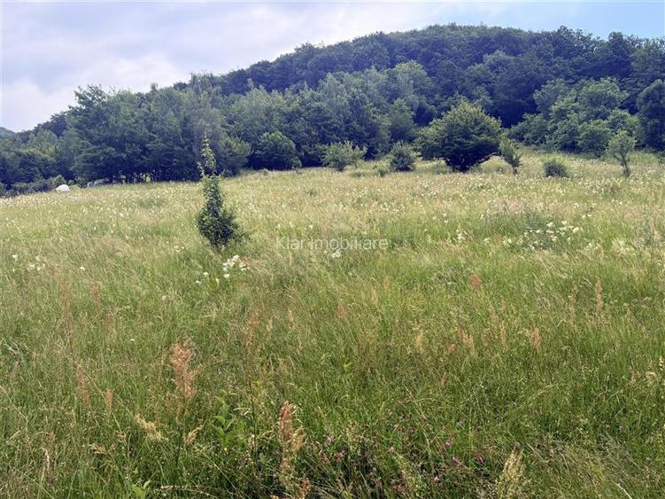 Comision 0%teren Somesu Rece zona Cabana Bradet - 3