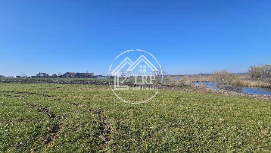 Loturi de Casa pe malul Lacului Creața, Dascălu – 460 mp + Drum servitute - 8