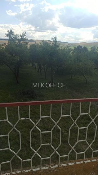 Tren si casa de vacanta in Panticeu - 8