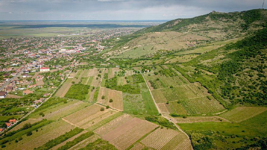 Teren extravilan - 3654 mp Dealul Șiriei - 7