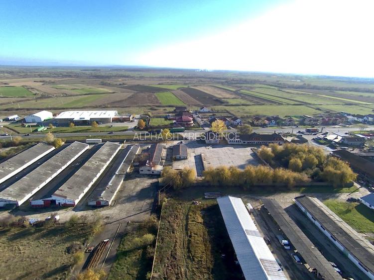 Hala pt depozitare 1200mp in Remetea Mare! Acces TIR - la sosea - 7