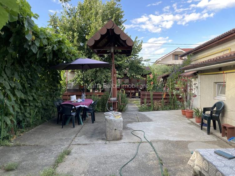 Casa traditionala, 106 mp., Teren 2227, D = 20 m + GARAJ, Clocociov - 9