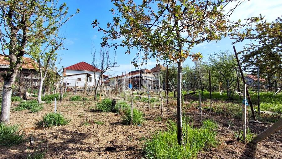 Casa de vanzare in Ineu formata din 2 cladiri - 41