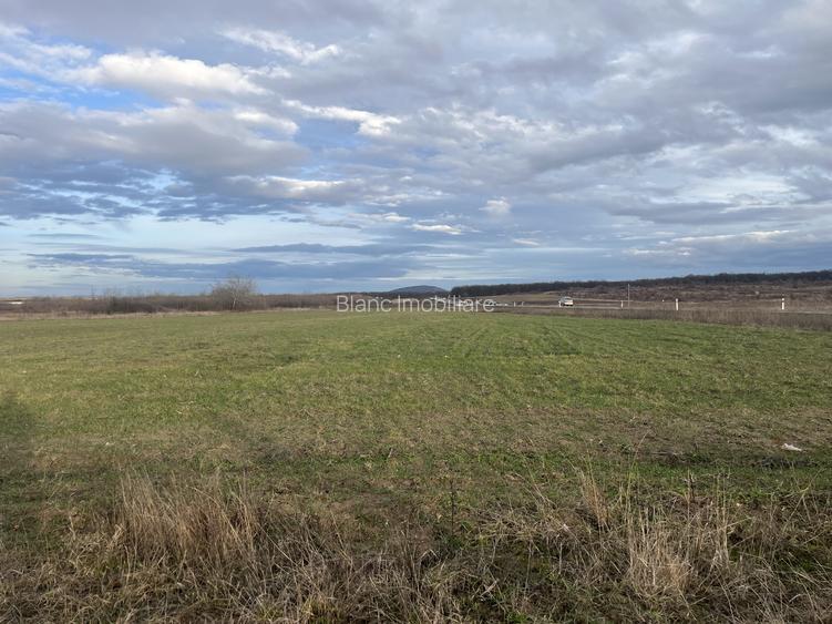 Teren 7481 mp, cu acces facil la Inelul Metropolitan - 4