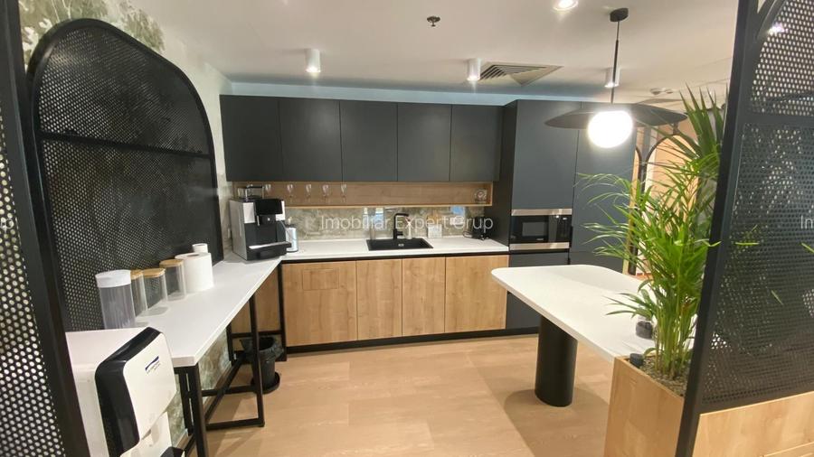 Birouri premium Calea Victoriei – 490€/workstation - 14