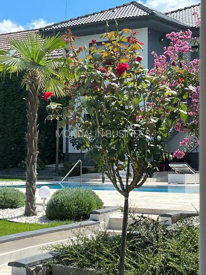 Vilă cu 7 camere, P+E, Piscină, 1102mp teren, Dealuri, Oradea. - 16