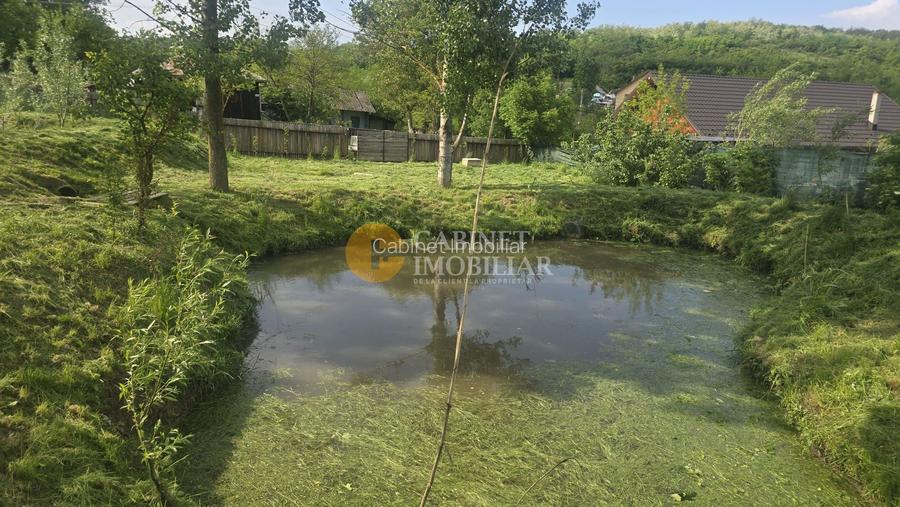 Oază de liniște și natură! Casă  cu 2 heleșteie și pârâu în curte – Probota - 9