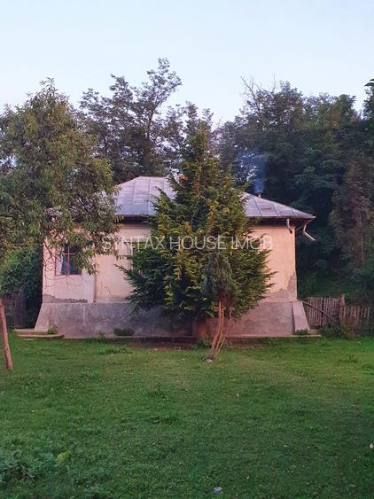 Puciosa Moreni Valea Lunga Sat Izvoru 20000mp teren de vanzare - 16