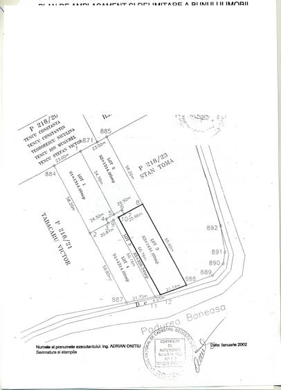 Pădurea Băneasa - 1