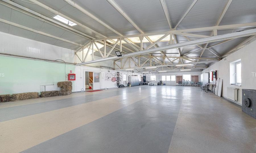 Platformă industrială cu 2 hale și sediu administrativ – teren 3.871 m - 58