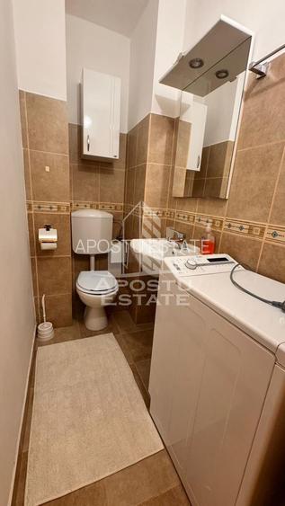 Apartament cu 3 camere , de inchiriat, Zona Bucovina, Timisoara - 13