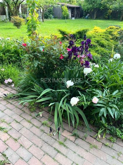 Casa individuala cu pozitie centrala, teren 1140 mp - Sanmihaiu Roman - 17