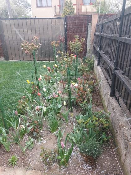 VILA MODERNA PARCUL TEILOR - IOR - 30