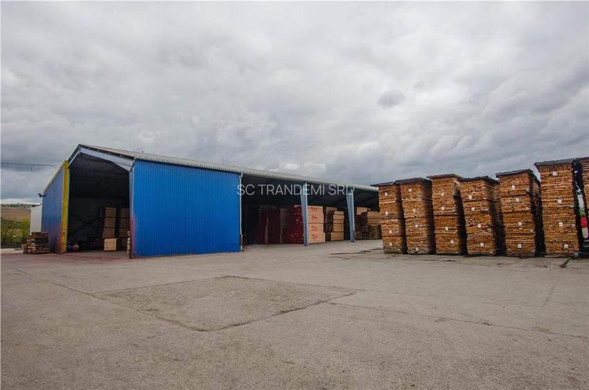 Complex industrial in Miercurea Sibiului, hale si 3,1 ha teren intravilan - 27