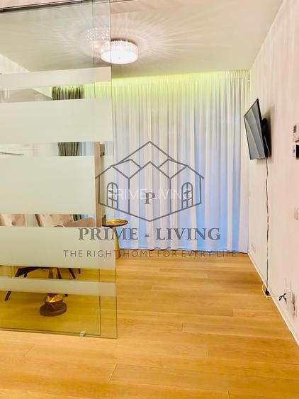 INCHIRIERE DUPLEX CU 2DORMITOARE+BIROU SI GRADINA IN CHARLES DE GAULLE - 17