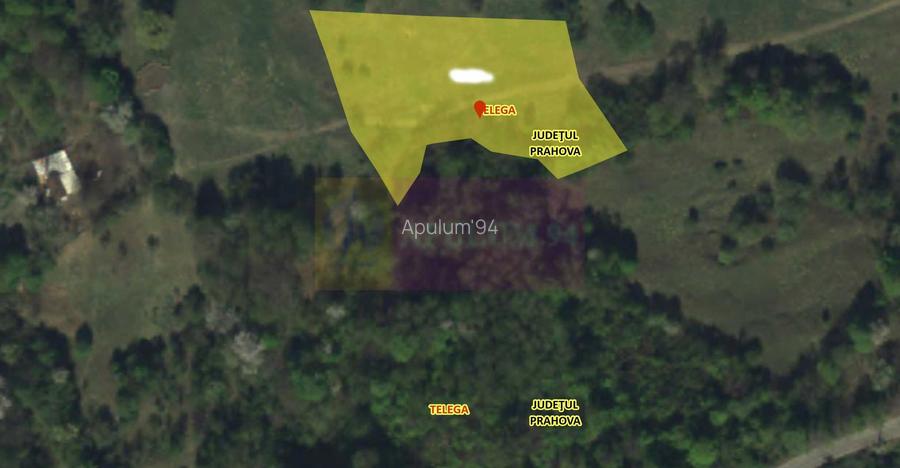 Teren extravilan de vanzare in Telega - 3