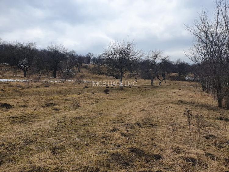 Teren Construcții extravilan de 10000 mp, în Bod - 7