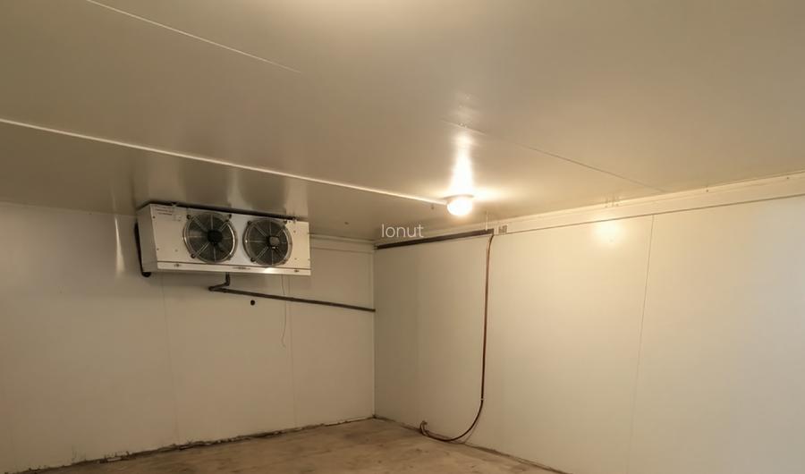 Hală Frigorifică / Hub Logistic – Complet Renovată, Interioara 3 - 2