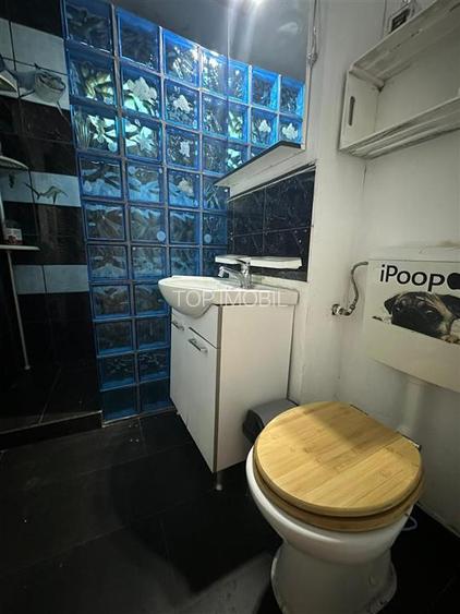 Inchiriere Apartament cu 2 camere Decomandat Podu Ros Pet Friendly - 8