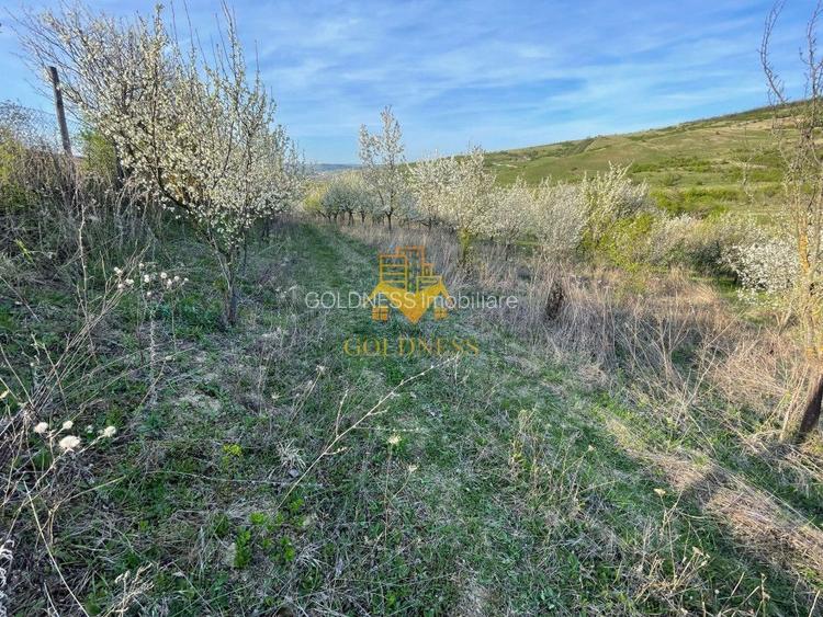 Tren Soporului Intravilan ,5500 MP Utilitati,  Oportunitate - 5