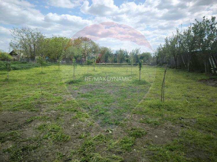 Casă renovată cu teren generos în Satu Mare,Secusigiu - 21