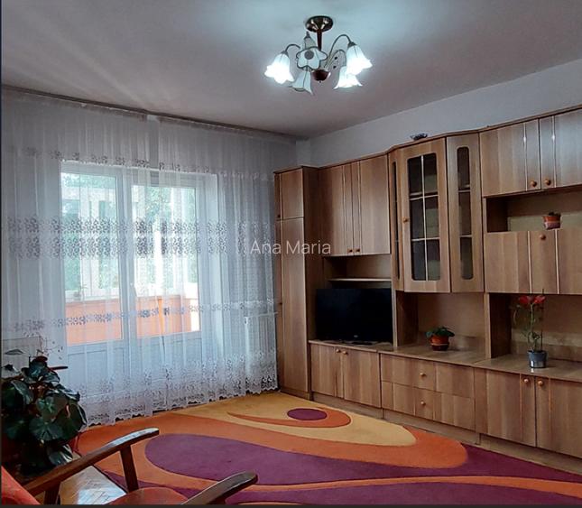 Proprietar Apartament 2 camere Lunca Cetățuii - 6