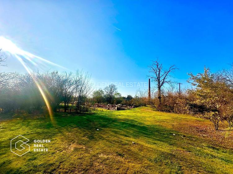 Teren intravilan 71.000mp, Barsa, Renumita Fabrica de caramida si casa 4 camere - 6