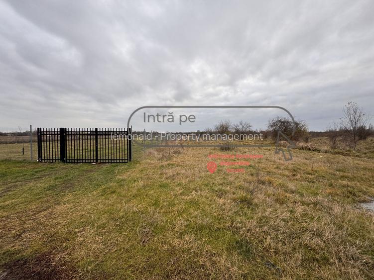 Teren Șag - intravilan agricol | 3.200 mp - 4