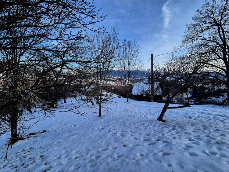 Teren intravilan Simon/Bran, 4318 mp , casuta intabulata, utilitati - 13