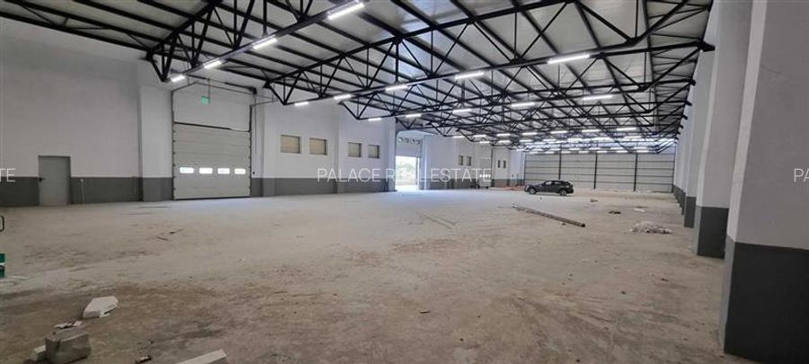 Hale industriale, spatii administrative sau cazare muncitori – de inchiriat - 4