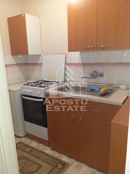 Apartament cu 1 camera de inchiriat, 32 mp, Take Ionescu, Timisoara - 4