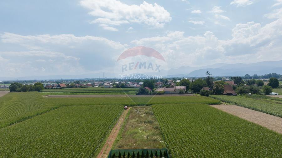 Teren de 1100 mp de vânzare în Stupini - 3