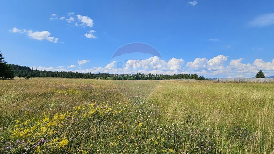 Teren parțial intravilan 30,930 mp Poiana Stampei-DN E58, Suceava - 19