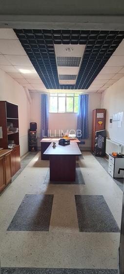 Inchiriez grup de hale cu platforma betonata - 7