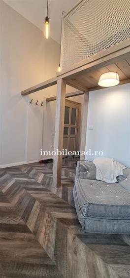Apartament in stil unic, langa Primaria Arad, amenajat cu designer, mobilat/dota