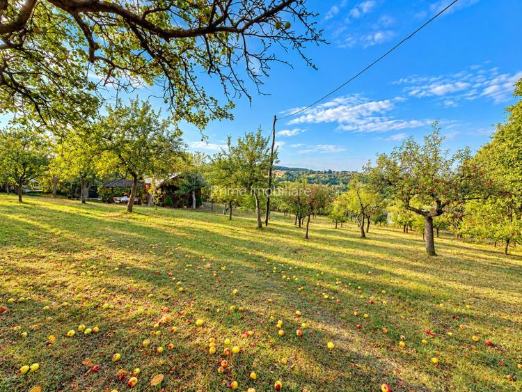 Cabana 80 mp| teren 3.400 mp| zona Cugir - 6