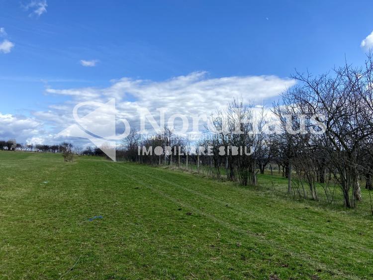 Teren Extravilan Rasinari 3500 mp - Zona deosebita - 4