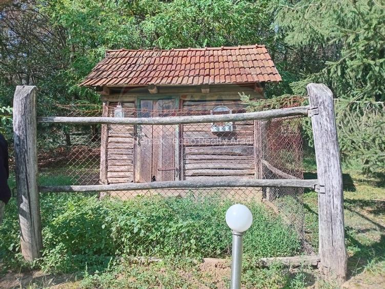 OCAZIE!!! CASA SUPERBA cu teren in JULITA jud Arad in M tii Zarandului - 37