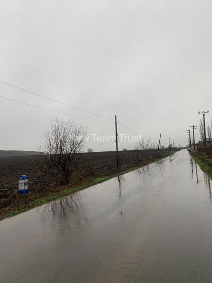 Afumati  Vanzare Suprafata 12,8 Hectare -Petrechioaia 35 000mp- Cernica 25400mp - 10