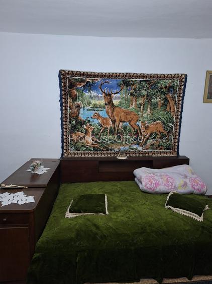 VANZARE CASA VRANCEA TIFESTI SAT CLIPICESTI - 5