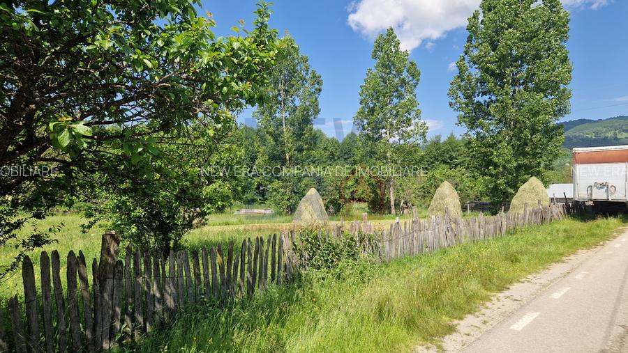 Teren de vanzare in judetul Arges, localitatea Arefu  - 6