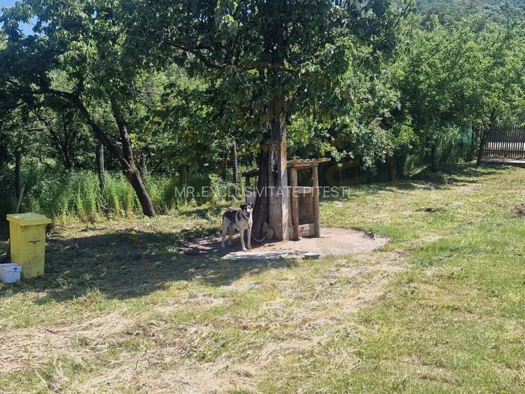 Proprietate în Comuna Botești, Județul Argeș – Zonă Pitorească și Liniștită ! - 20