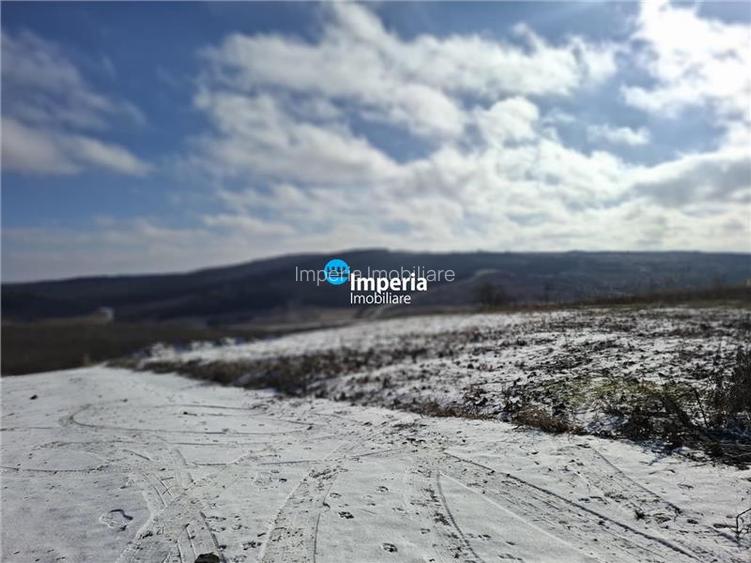 Dorobant - Aroneanu, teren intravilan pentru construit/investitie! - 6