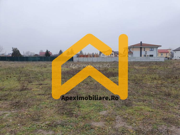 Catelu | Teren 5000MP | Intravilan | 15 Minute Metrou | OPORTUNITATE - 4