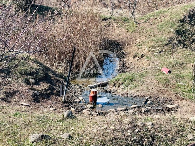 Vânzare teren comercial / industrial situat pe strada Narciselor , Târgu-Jiu - 5